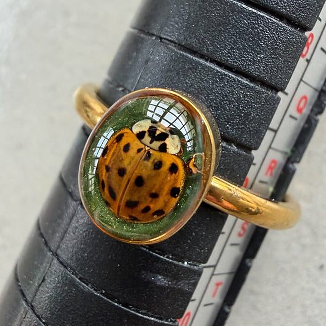 Resin jewelry made with real nature by Mosh Jewelry
